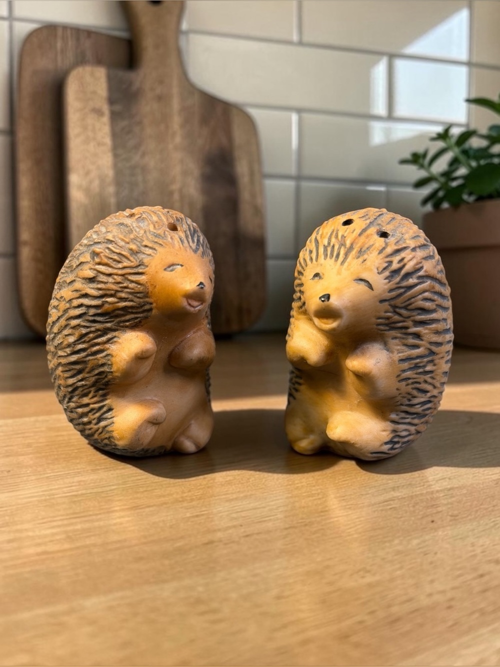 HEDGEHOG SALT & PEPPER SHAKER SET WOODLAND ANIMAL PAIR